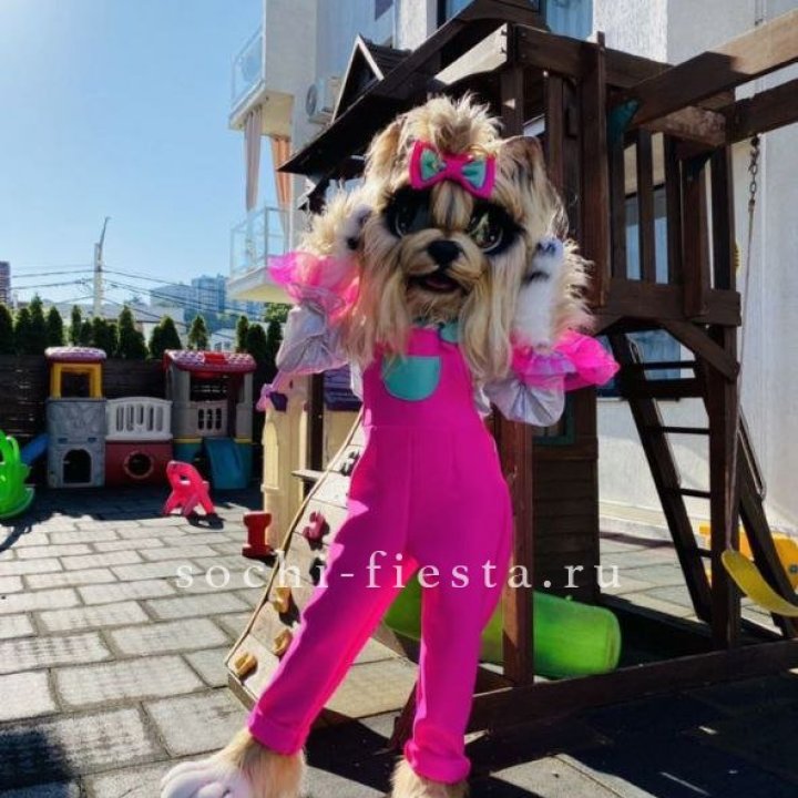 Аниматор Гламурная Собака в Кемерово