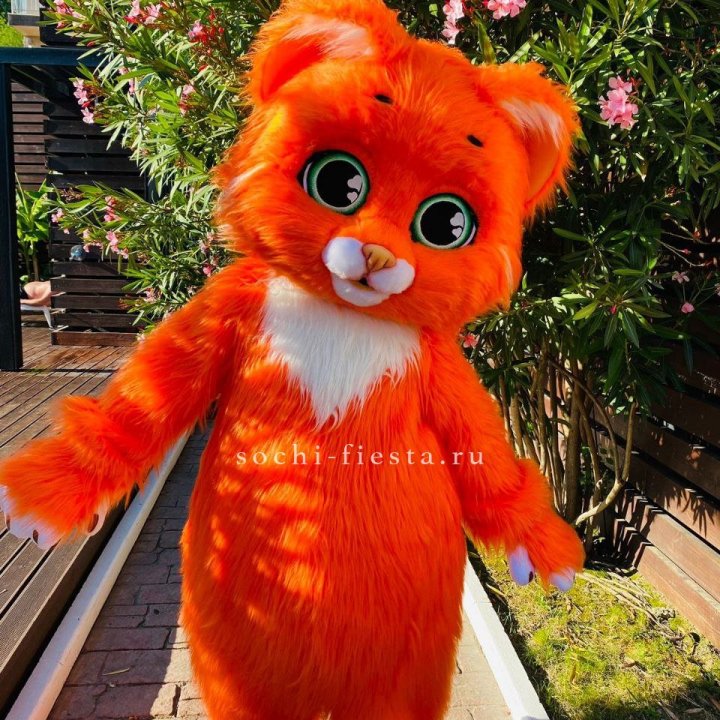 Аниматор Котик в Кемерово