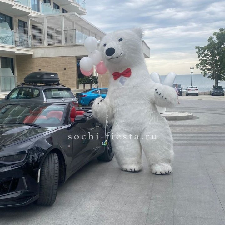 Аниматор Белый Медведь в Кемерово