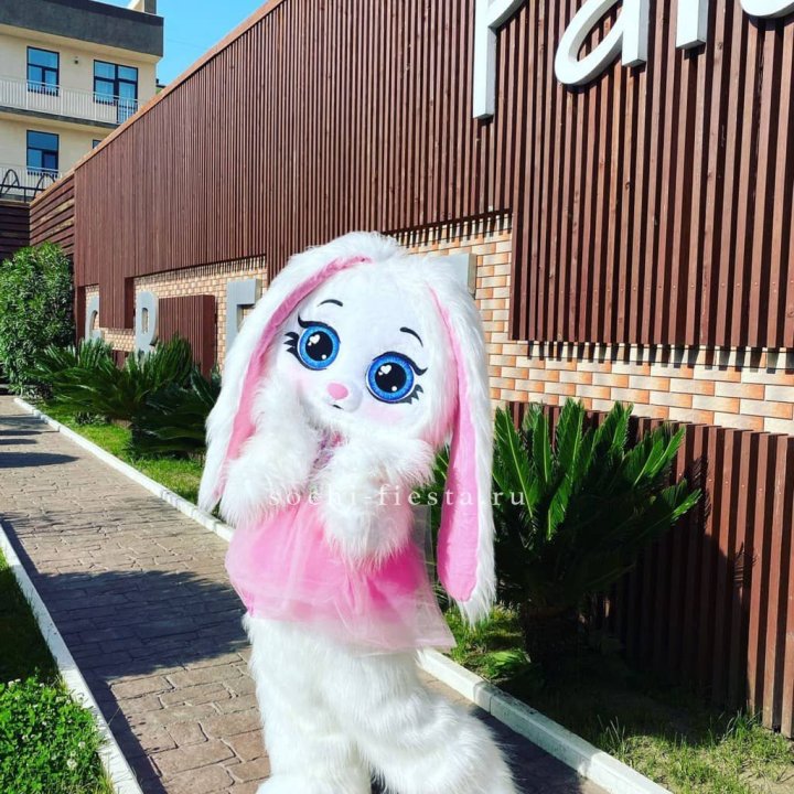 Аниматор Зайка в Кемерово