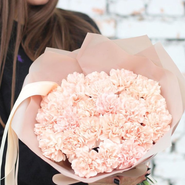 Диантусы №2 в Кемерово