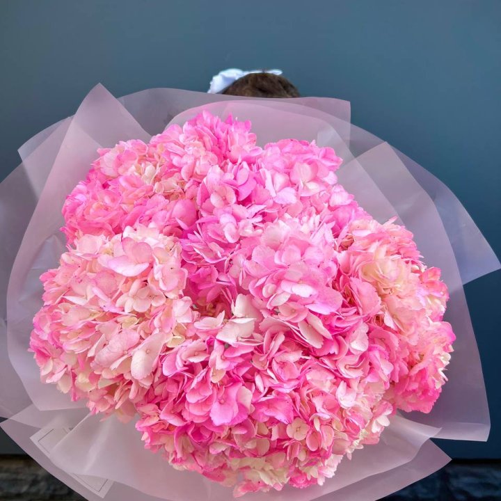 9 ярко розовых гортензий в Кемерово