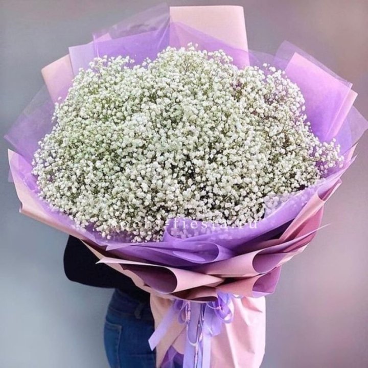 Облако белых гипсофил в Кемерово