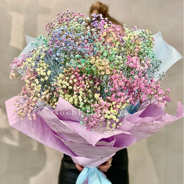 Радужные гипсофилы №2 в Кемерово