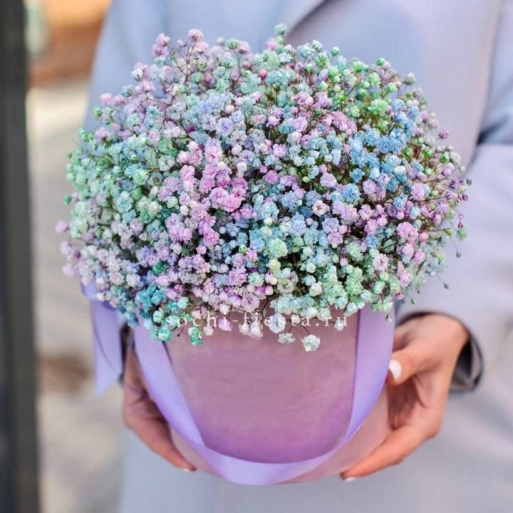 Гипсофилы в шляпной коробке "Кандилайт" в Кемерово