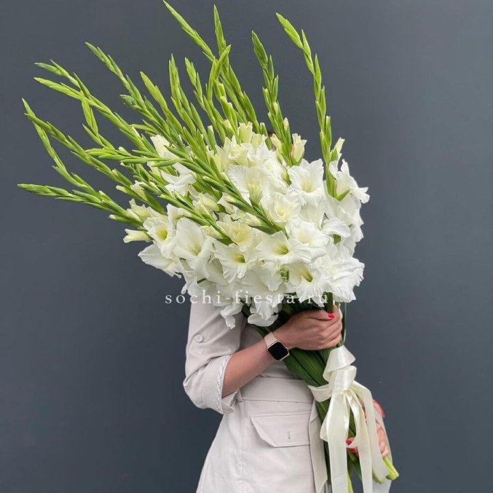 19 белых гладиолусов под ленту в Кемерово