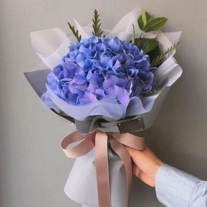 Гортензия голубая в Кемерово