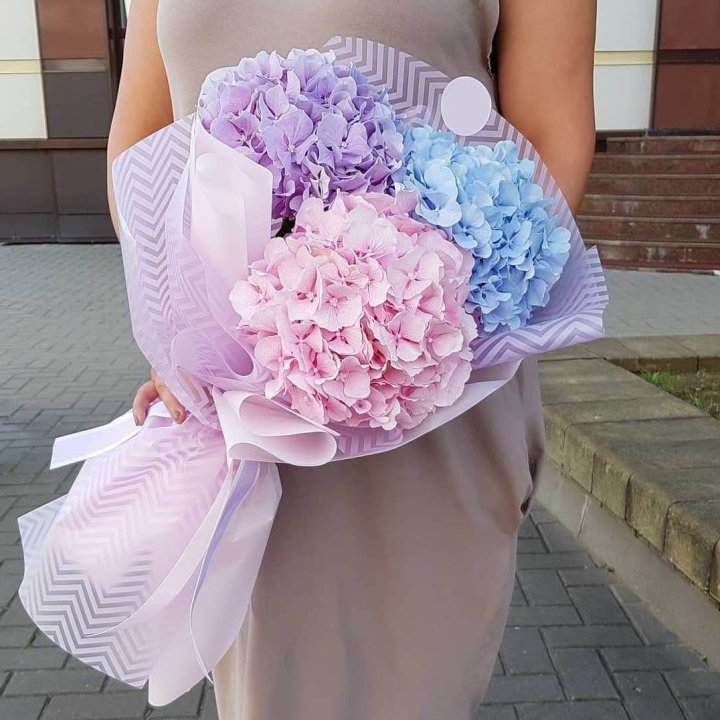 Букет гортензий "Пуф" в Кемерово