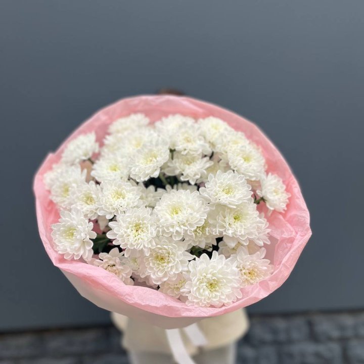  5 хризантем  в Кемерово