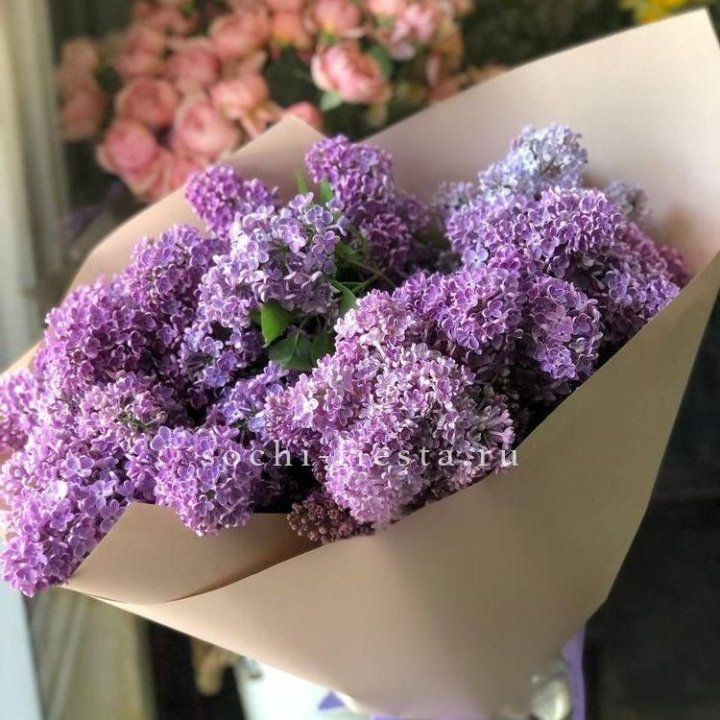 Букет сирени №2 в Кемерово