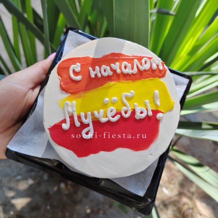 Бенто-торт "С началом учёбы"" в Кемерово