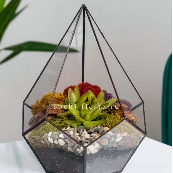 Флорариум Капля с суккулентом в Кемерово