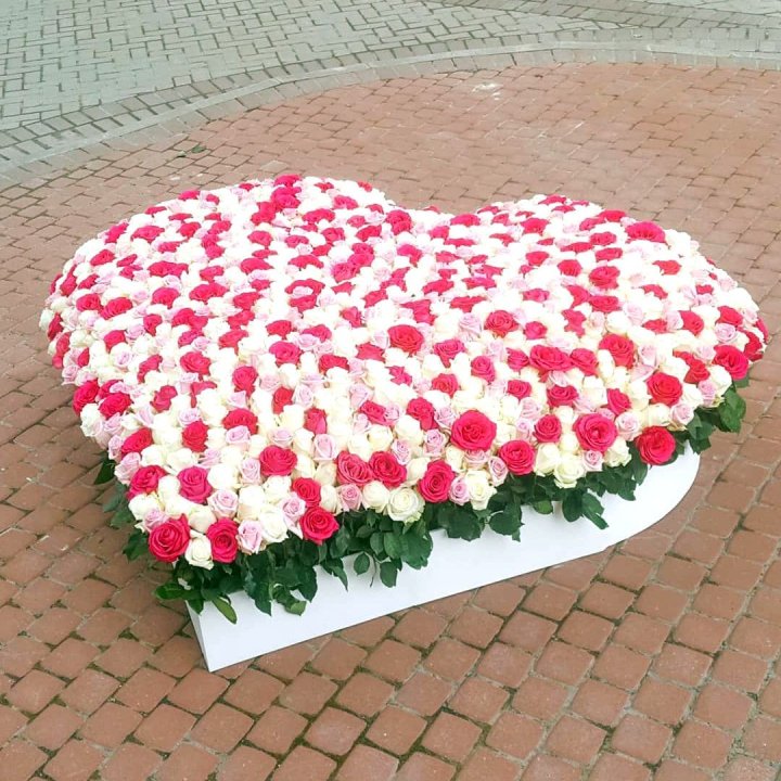 555 роза  в Кемерово