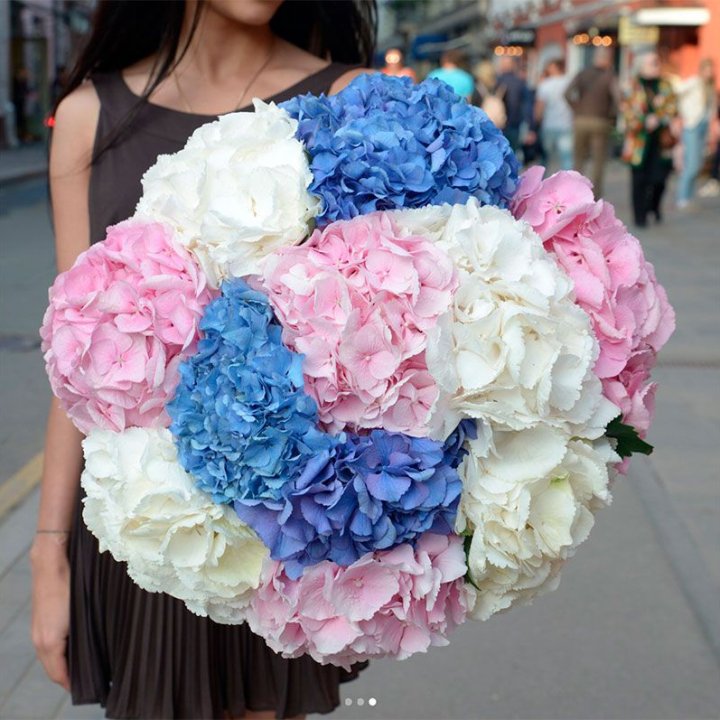 Букет гортензий "Инь-Янь" в Кемерово