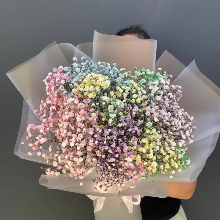 Радужные гипсофилы  в Кемерово