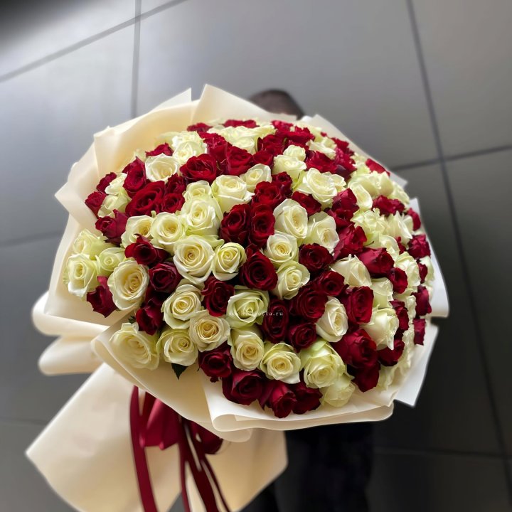 101 высокая импортная роза  в Кемерово