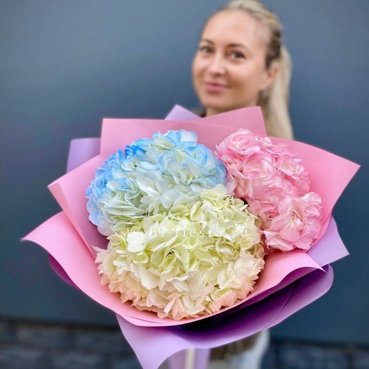 Букет гортензий "Тоника" в Кемерово