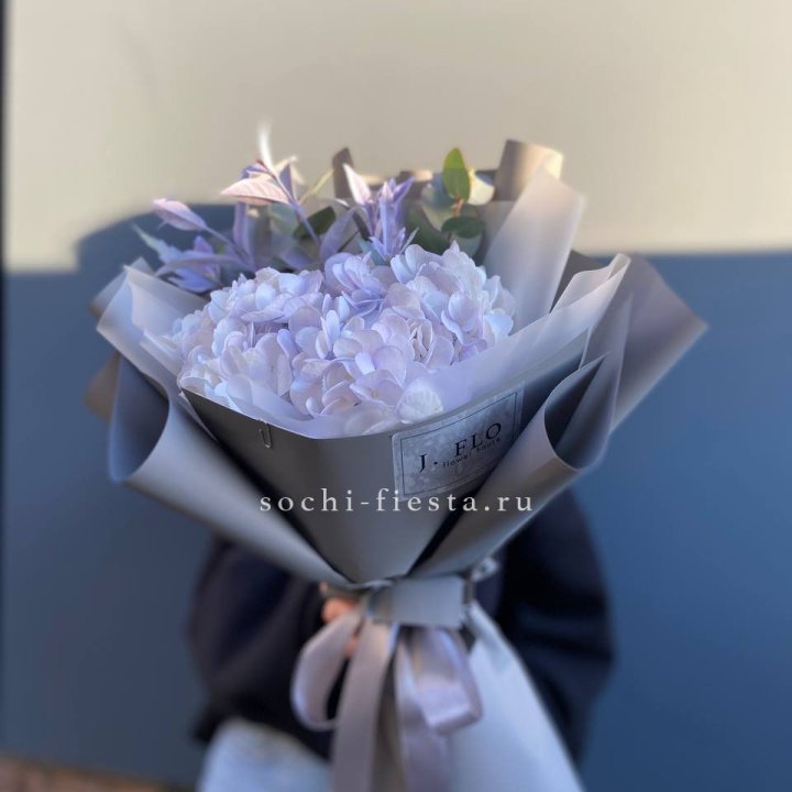Гортензия "Виолета" в Кемерово