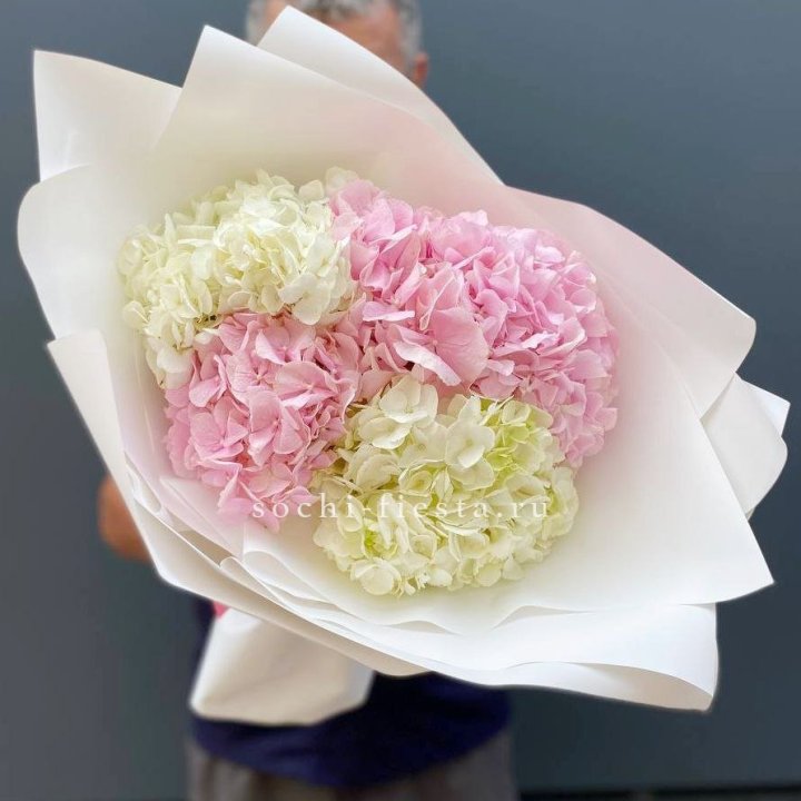 Букет гортензий №5 в Кемерово