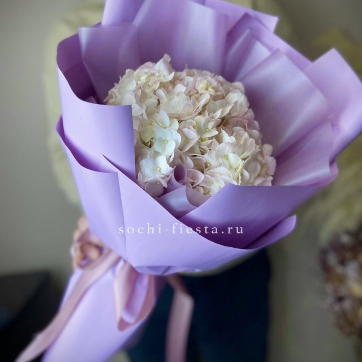 Гортензия розовая в Кемерово