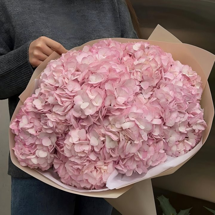 Гортензия  "РОЗЕ" в Кемерово