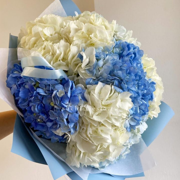 Букет гортензий "Голубая лаза" в Кемерово