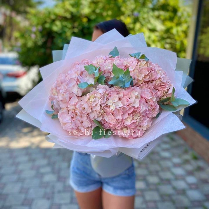 5 розовых гортензий  в Кемерово
