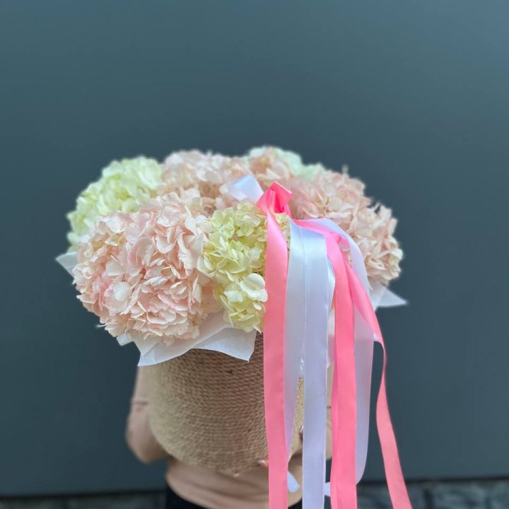 7 гортензий в кашпо в Кемерово