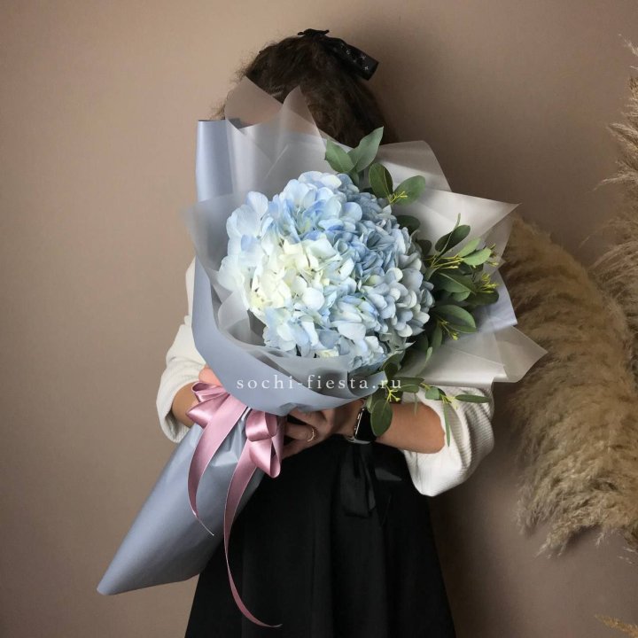 Гортензия Уно в Кемерово