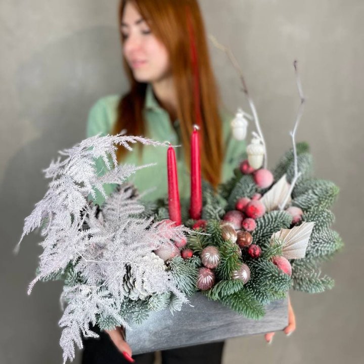 Бокс красный с нобилисом в Кемерово