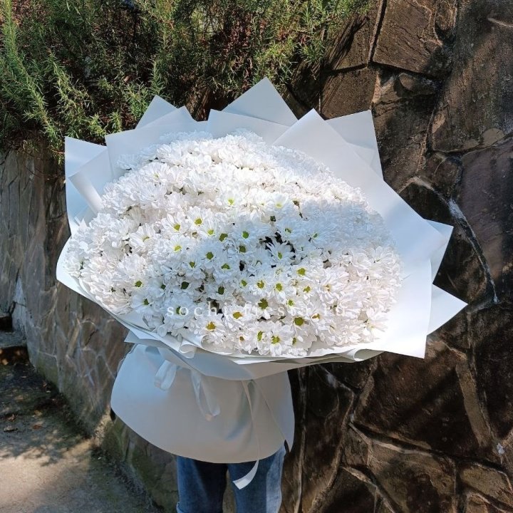 Облако хризантем №2 в Кемерово