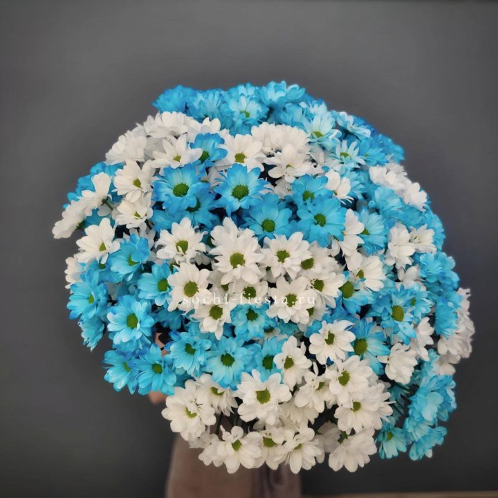  Букет хризантем микс в Кемерово