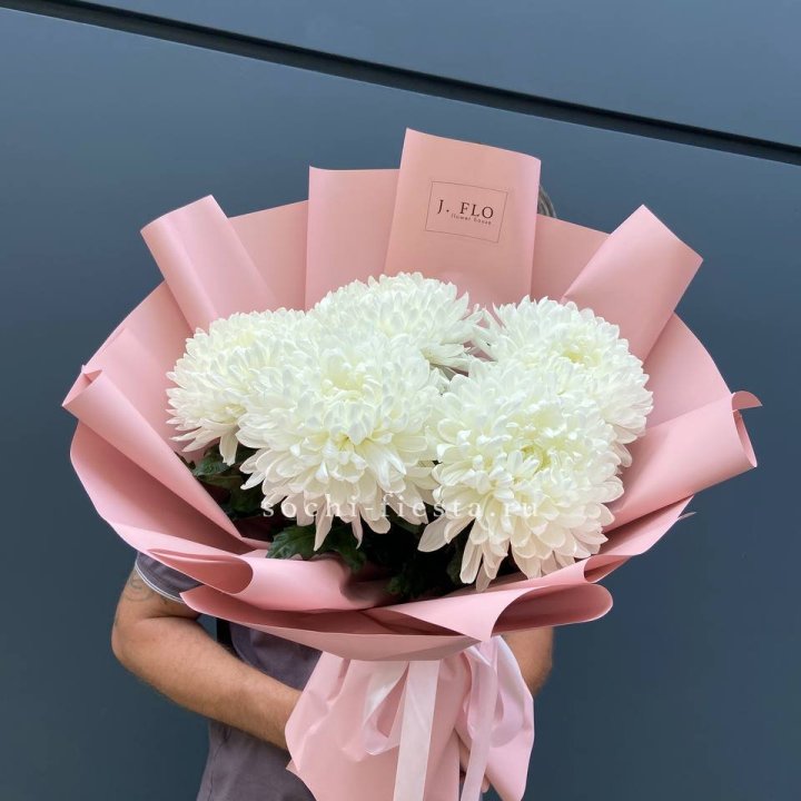 Профитроли №2 в Кемерово