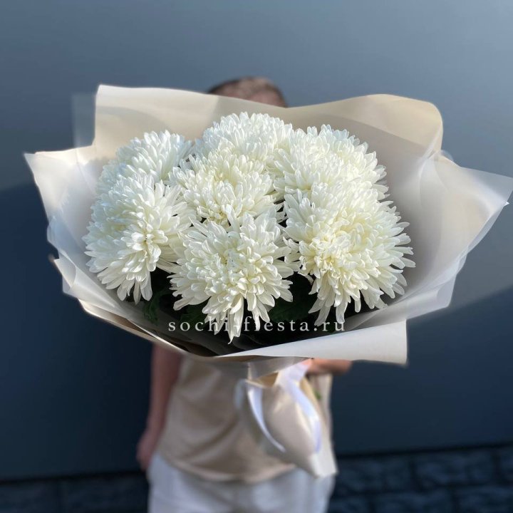 Профитроли в Кемерово