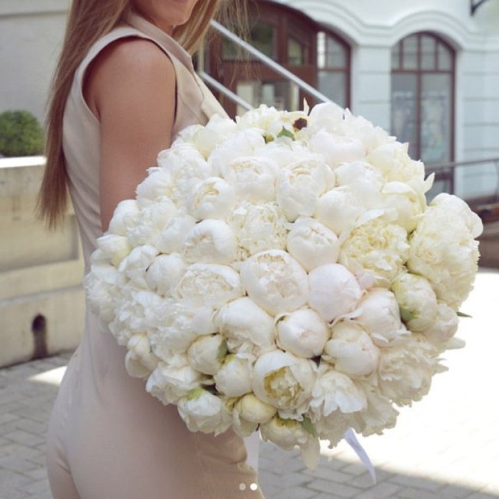 51 белый пион в Кемерово