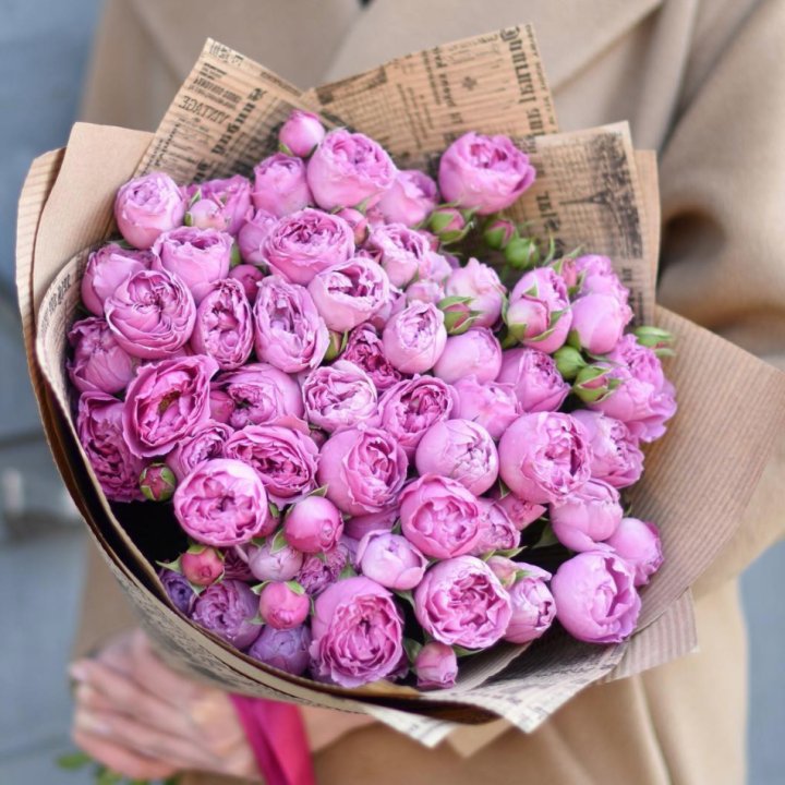 Роза Мисти Баблс в Кемерово