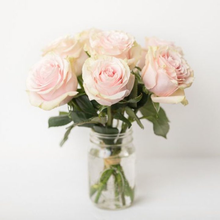 7 кремовых роз в Кемерово