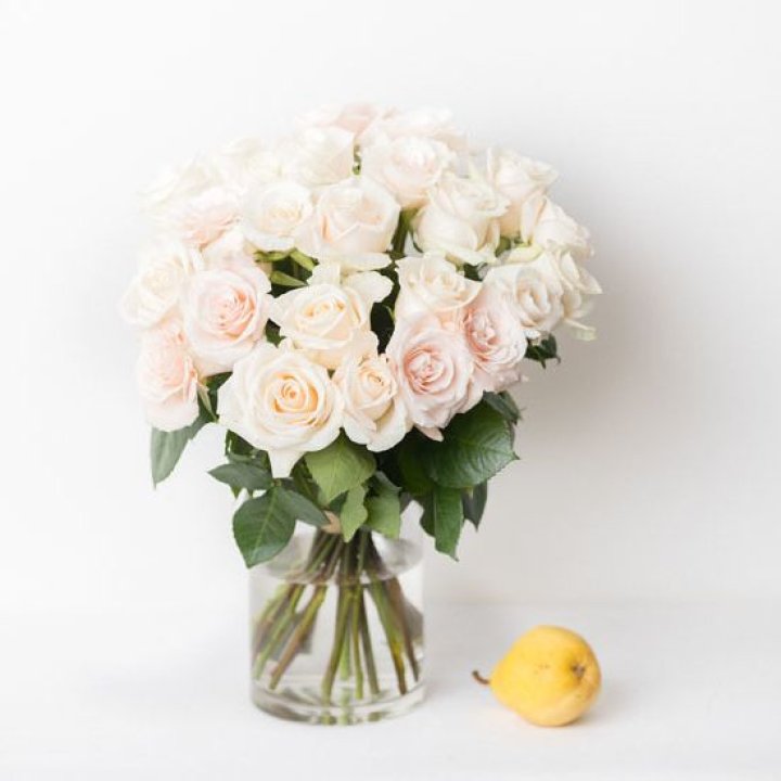 25 кремовых роз в Кемерово