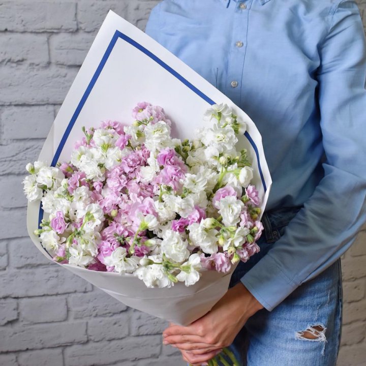 Маттиола в Кемерово