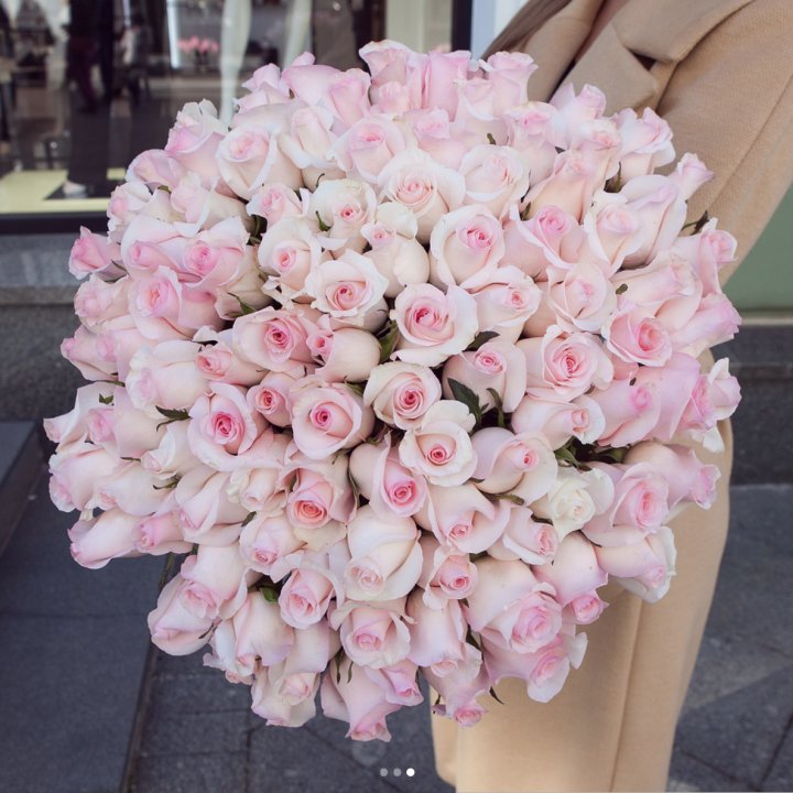 Розы "Пинк бум" в Кемерово