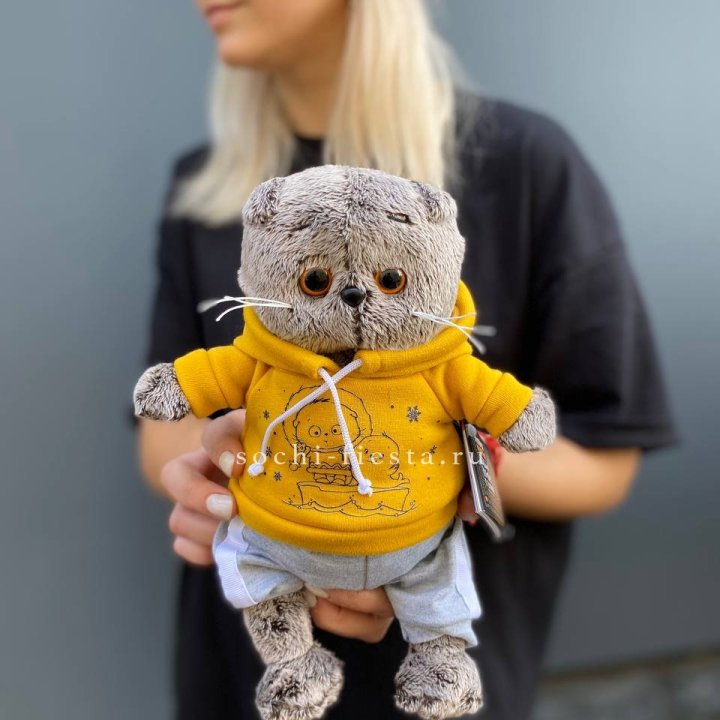 Кот Басик в худи в Кемерово