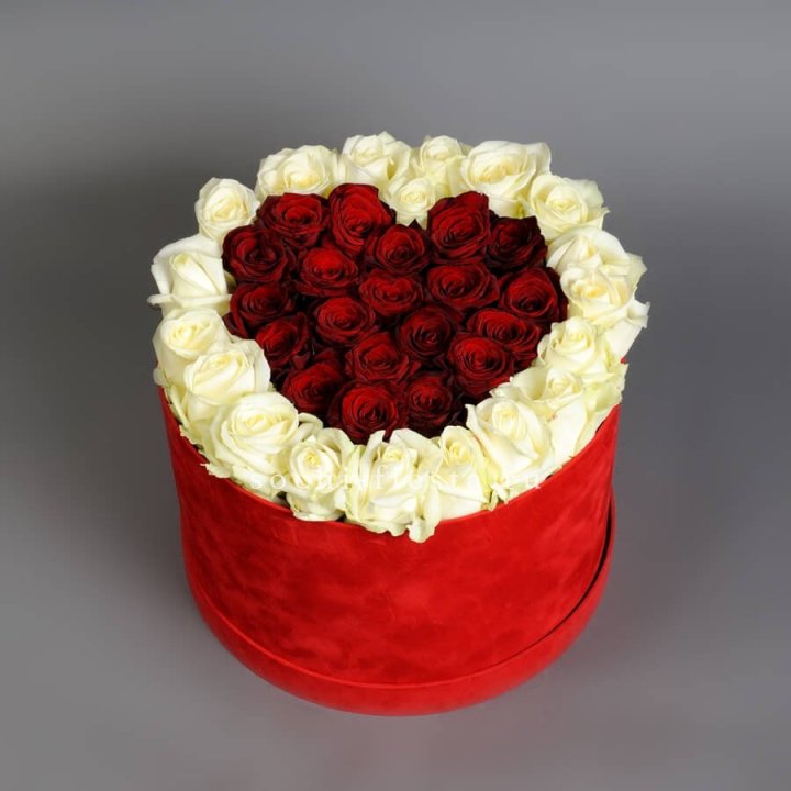 39 красных и белых роз в цилиндре в Кемерово