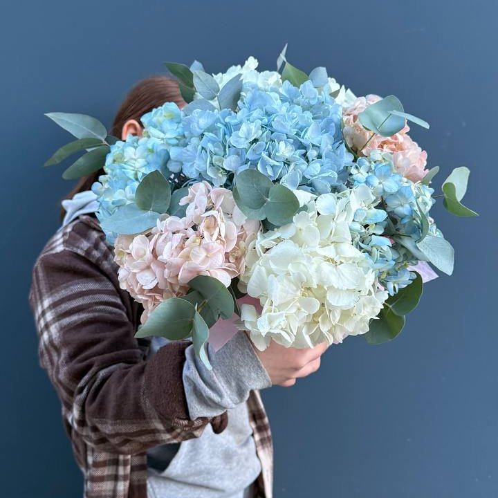 Гортензии в коробочке в Кемерово