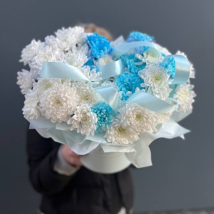 Хризнтемы в боксе в Кемерово