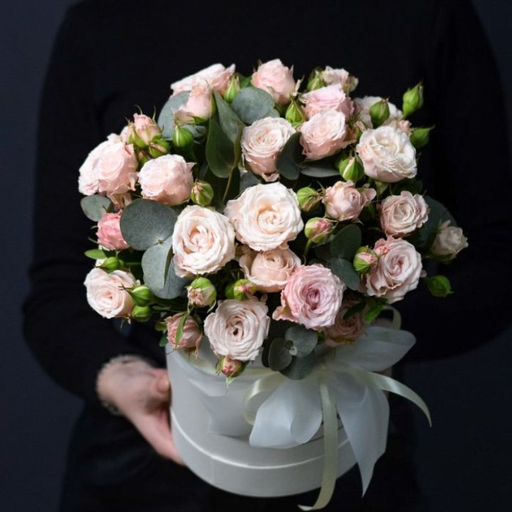 Бомбастик бокс №2 в Кемерово