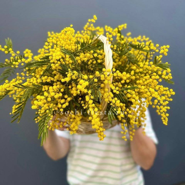 Весенняя корзина мимозы в Кемерово