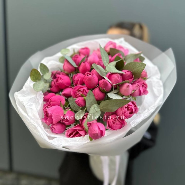 17 Мисти бабблс в Кемерово