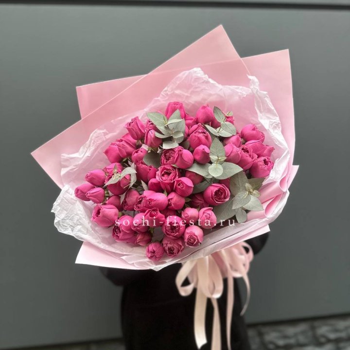 25 Мисти бабблс в Кемерово