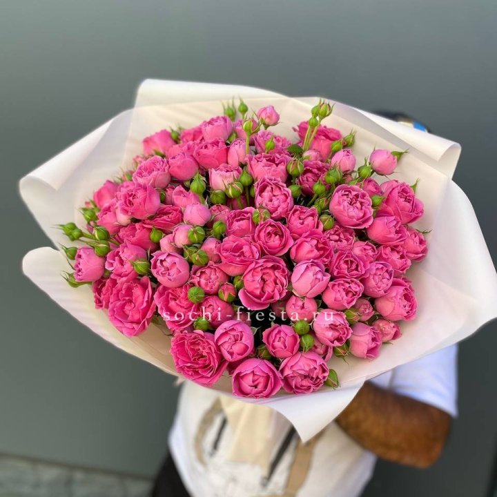 Мисти Баблс 35шт в Кемерово