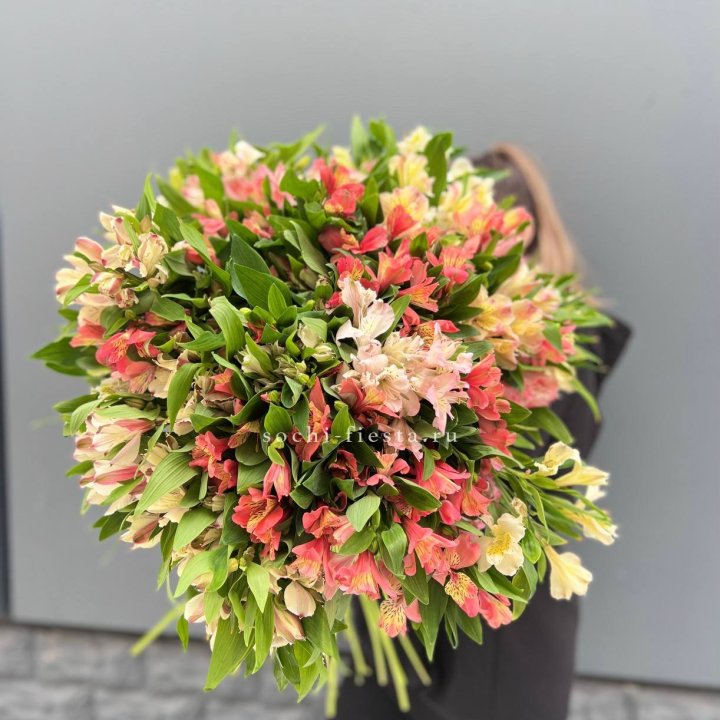 51 альстромерия в Кемерово